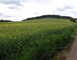 Wandertag 2010